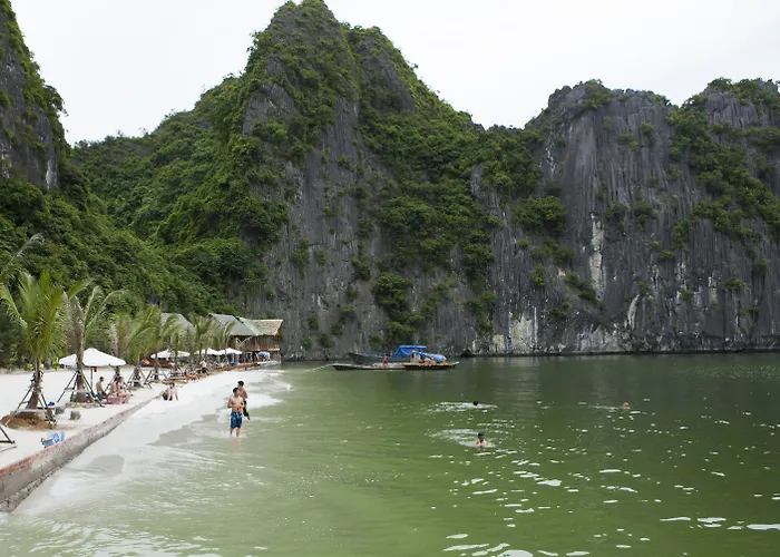 Royal Boutique Cruises